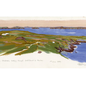 view from skokholm