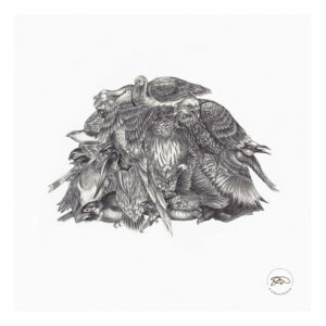 Heap of Birds