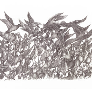 Walk of Birds