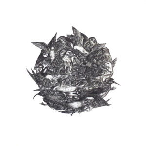 Ball of Birds II