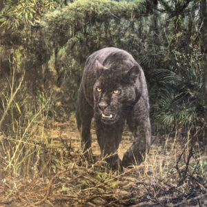 Black Jaguar