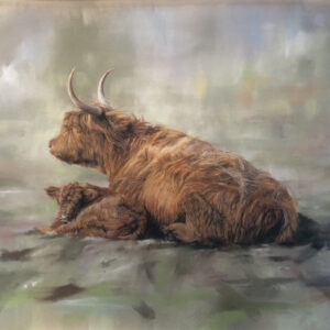 Highland Cow and Calf