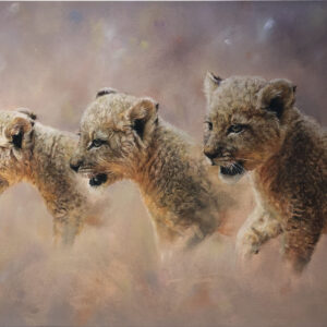 Lion cub trio