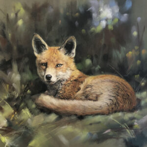Red Fox