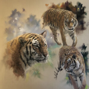 Tiger Trio