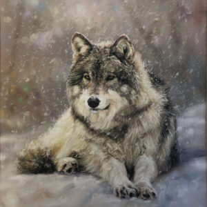 Wolf in Snow
