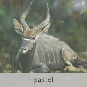 pastel
