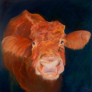Ginger the bull