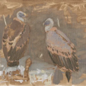 Griffon pair