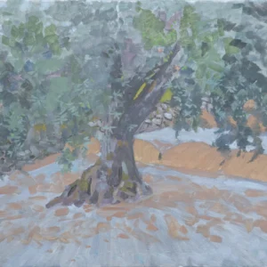 Olive Tree