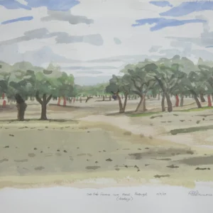 Cork Oak Savanna near Portel