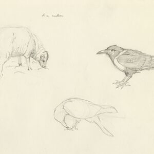 mutton & Cuthbert sketches