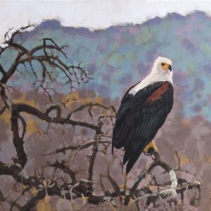 Fish Eagle, Ruaha National Park (print)