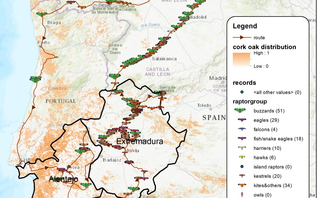 map of vulture observations across Spain