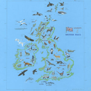 Wildlife of the British Isles