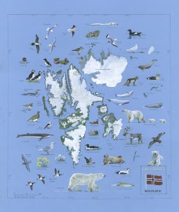 Svalbard Chart