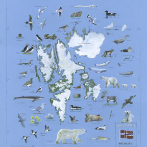 Svalbard Chart
