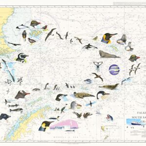 Falklands Chart