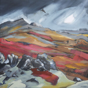 Foel Drygarn