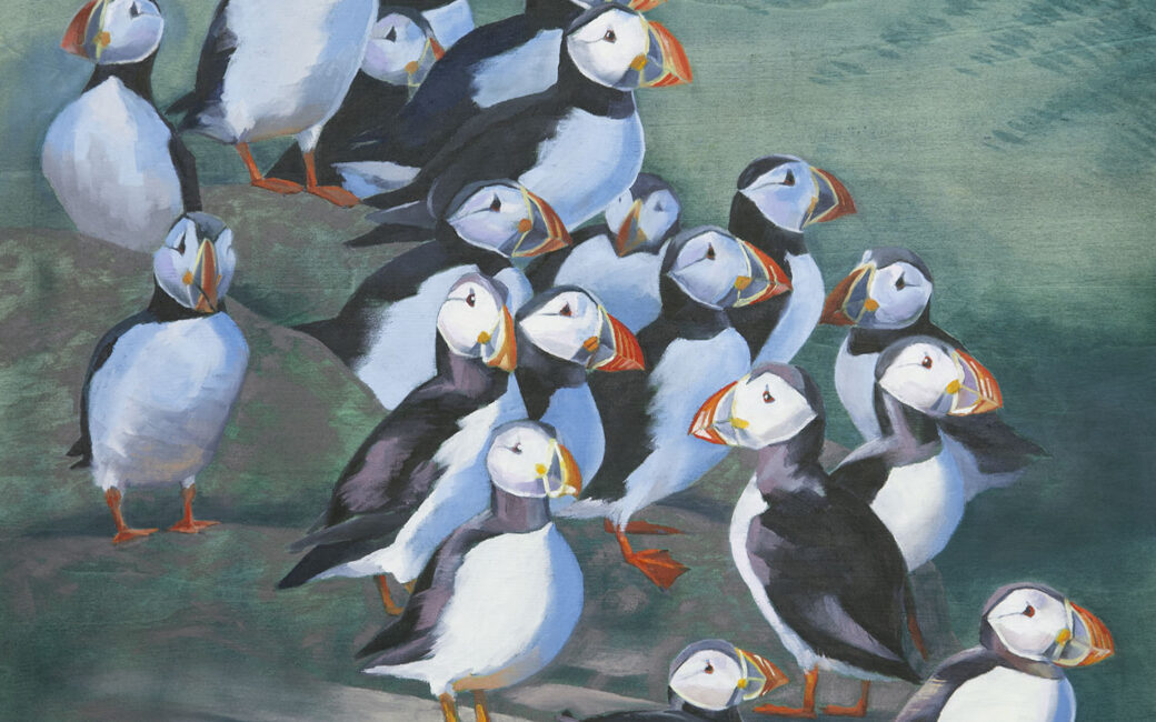 oil painting of puffins by Philippa Mitchell