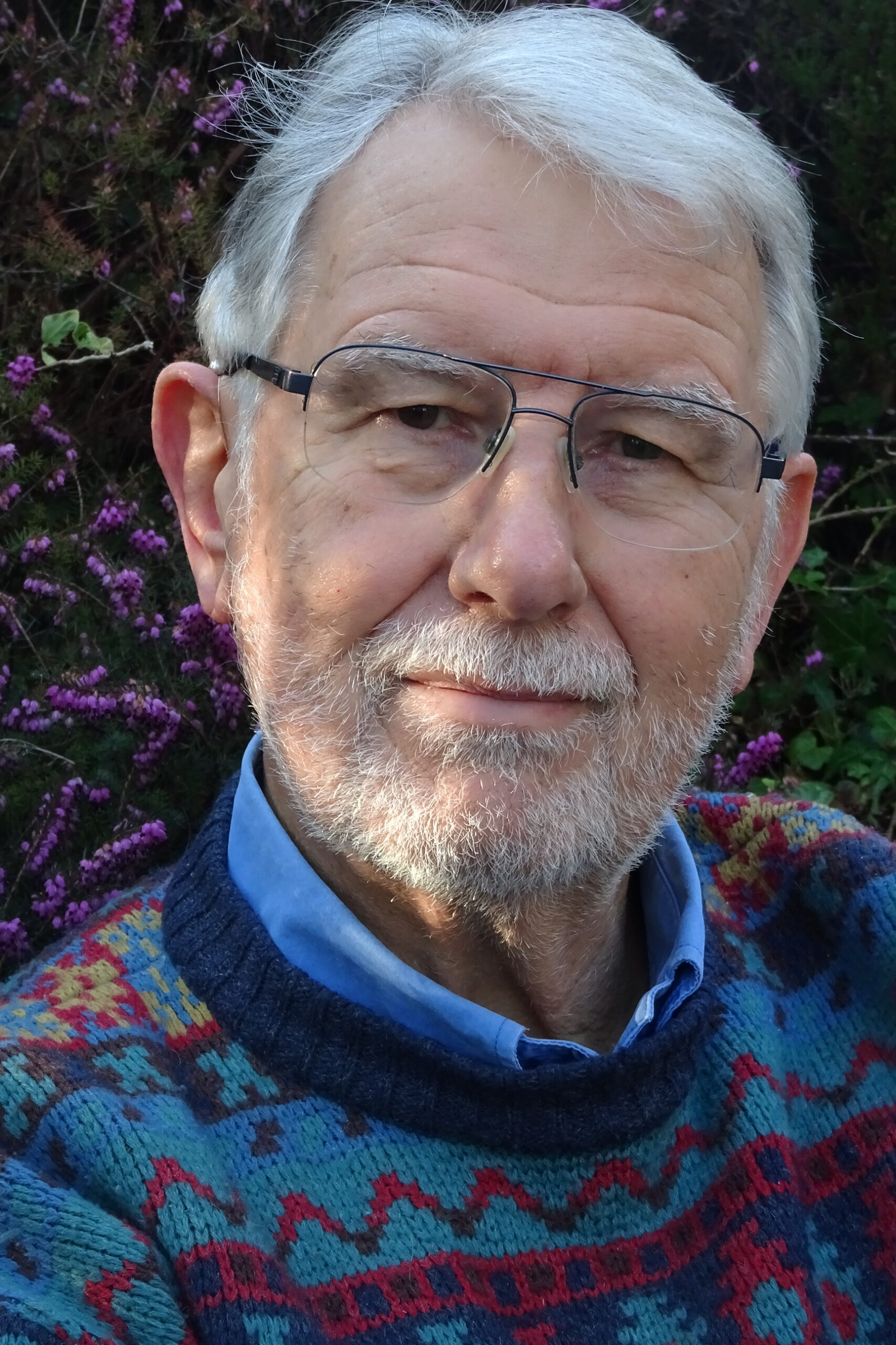 Graham Brace